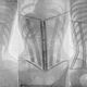 Illustration for article titled X-ray images of women in corsets show skeletons in a bind